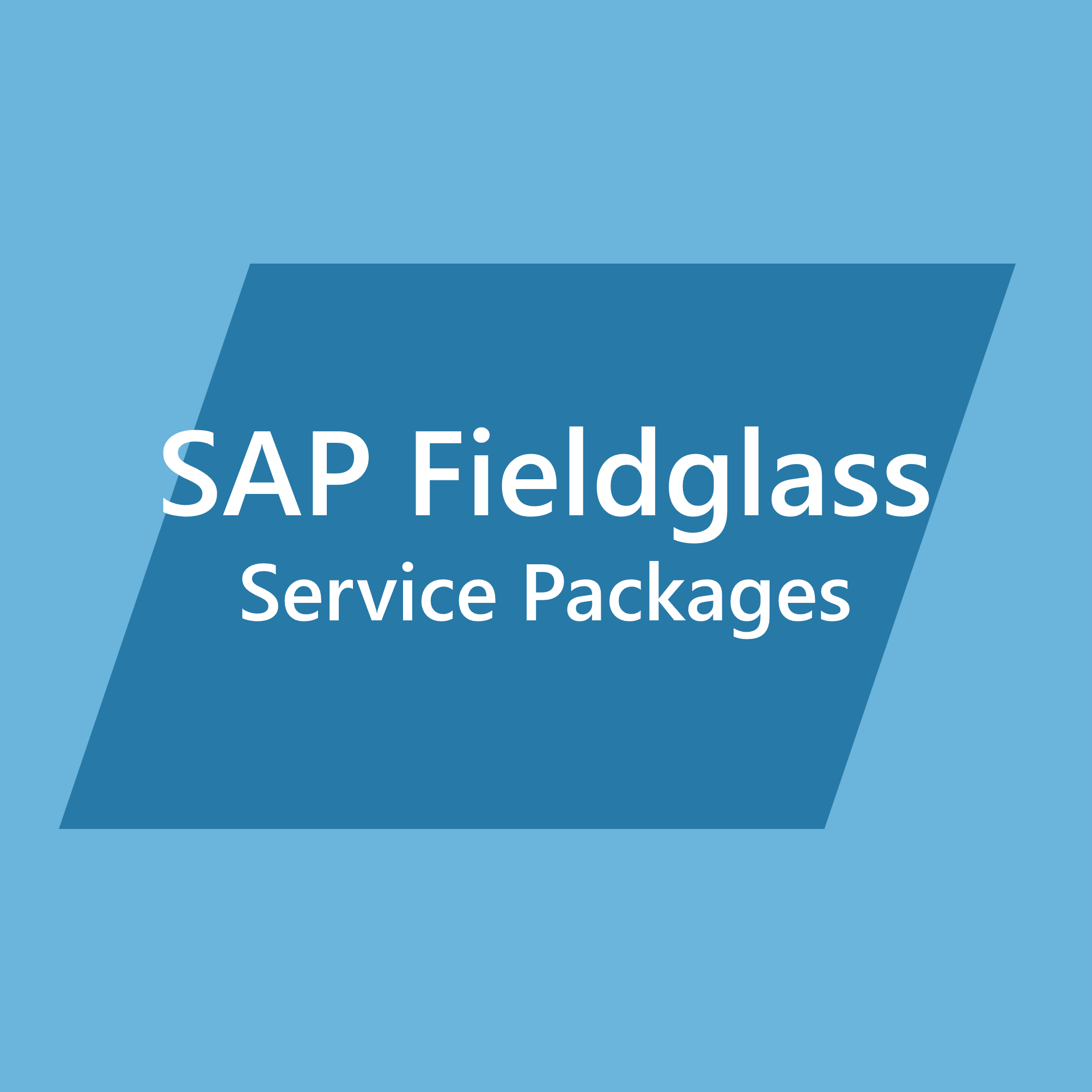 ASAPIO Service-Pakete für SAP Fieldglass